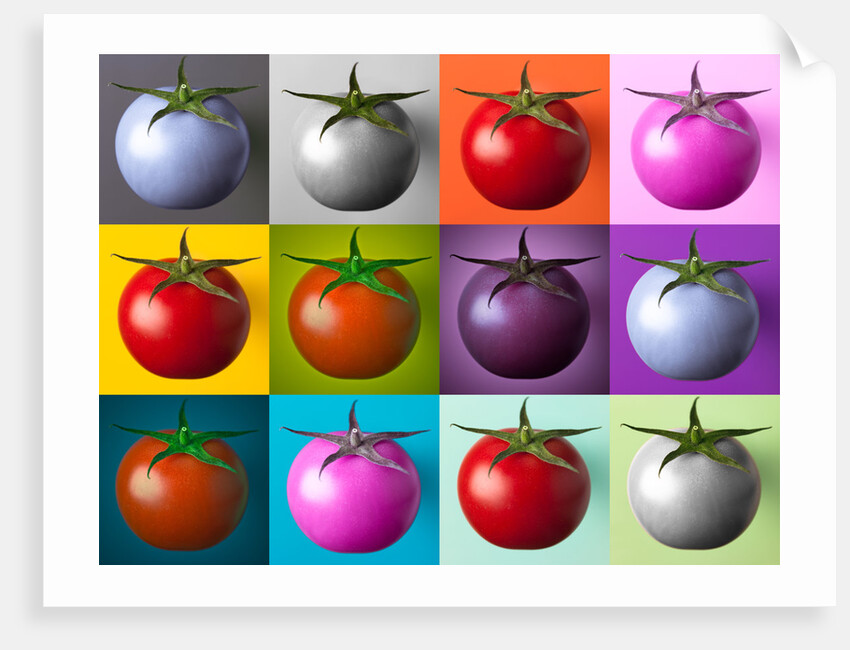 Multi coloured tomatos by Assaf Frank